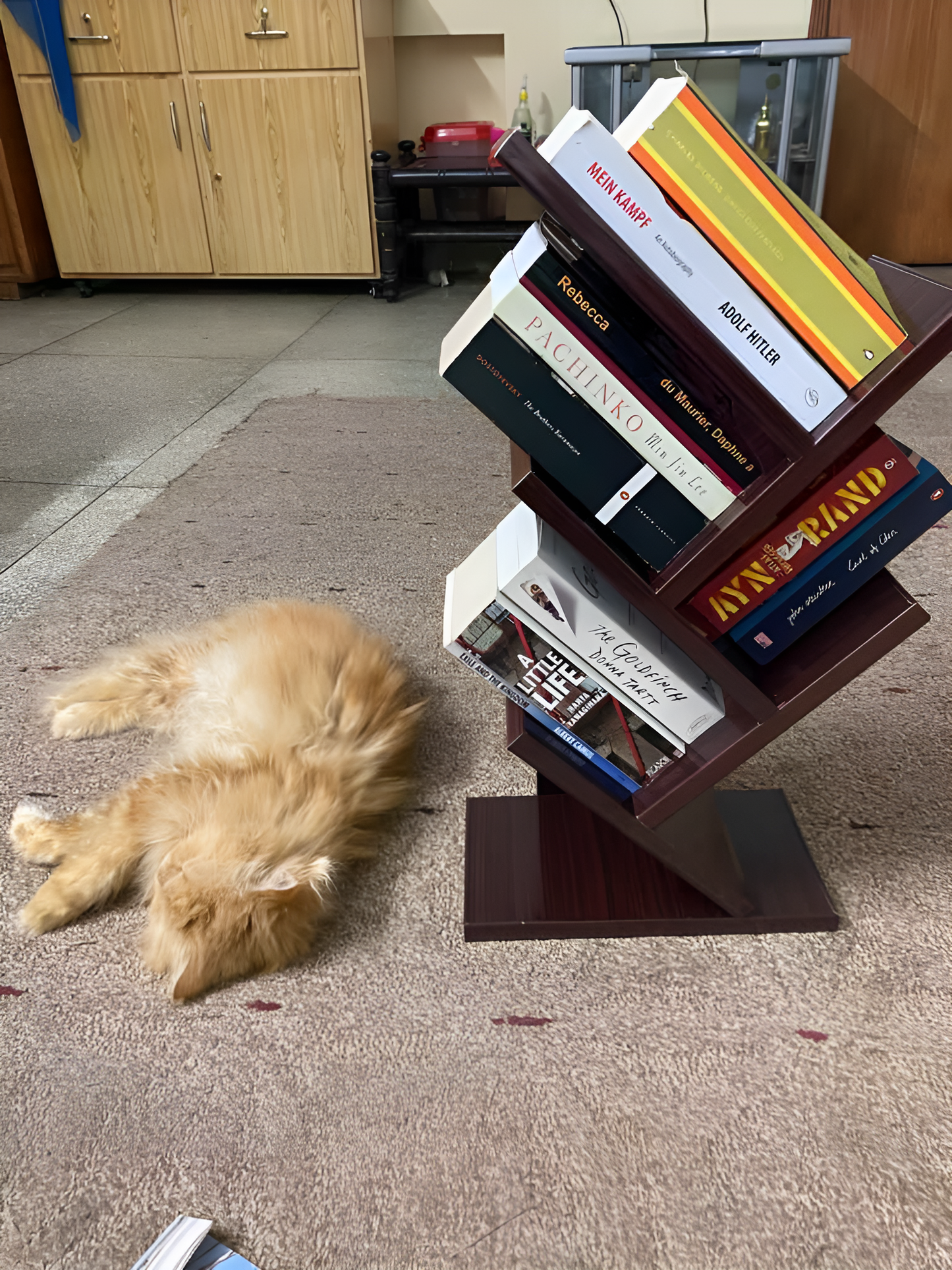 Wooden Floor Book Rack For Home & Office Decoration By Laly.pk - WS107.